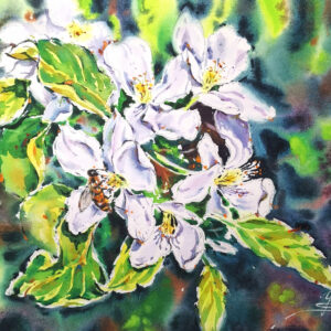 Original watercolor painting of apple tree blossoms with a honey bee by Yael Natali. Delicate white and pink flowers surrounded by green leaves in sunlight. Spring floral art, botanical watercolor wall decor, nature-inspired artwork
