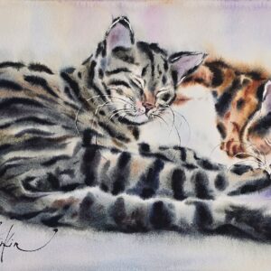 original watercolor painting features two adorable tabby cats peacefully sleeping together by arteist Yael Natali