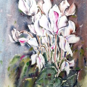 Original watercolor painting of white cyclamen flowers by artist Yael Natali. Delicate white and pink petals with green leaves on a soft textured background. Floral botanical watercolor art symbolizing purity, tenderness, and natural beauty.