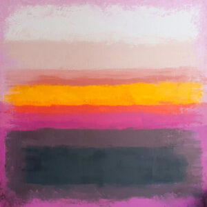 Color Flowers Fields Sunset