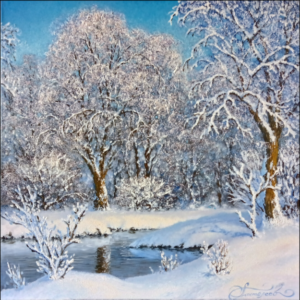 Trees in the snow