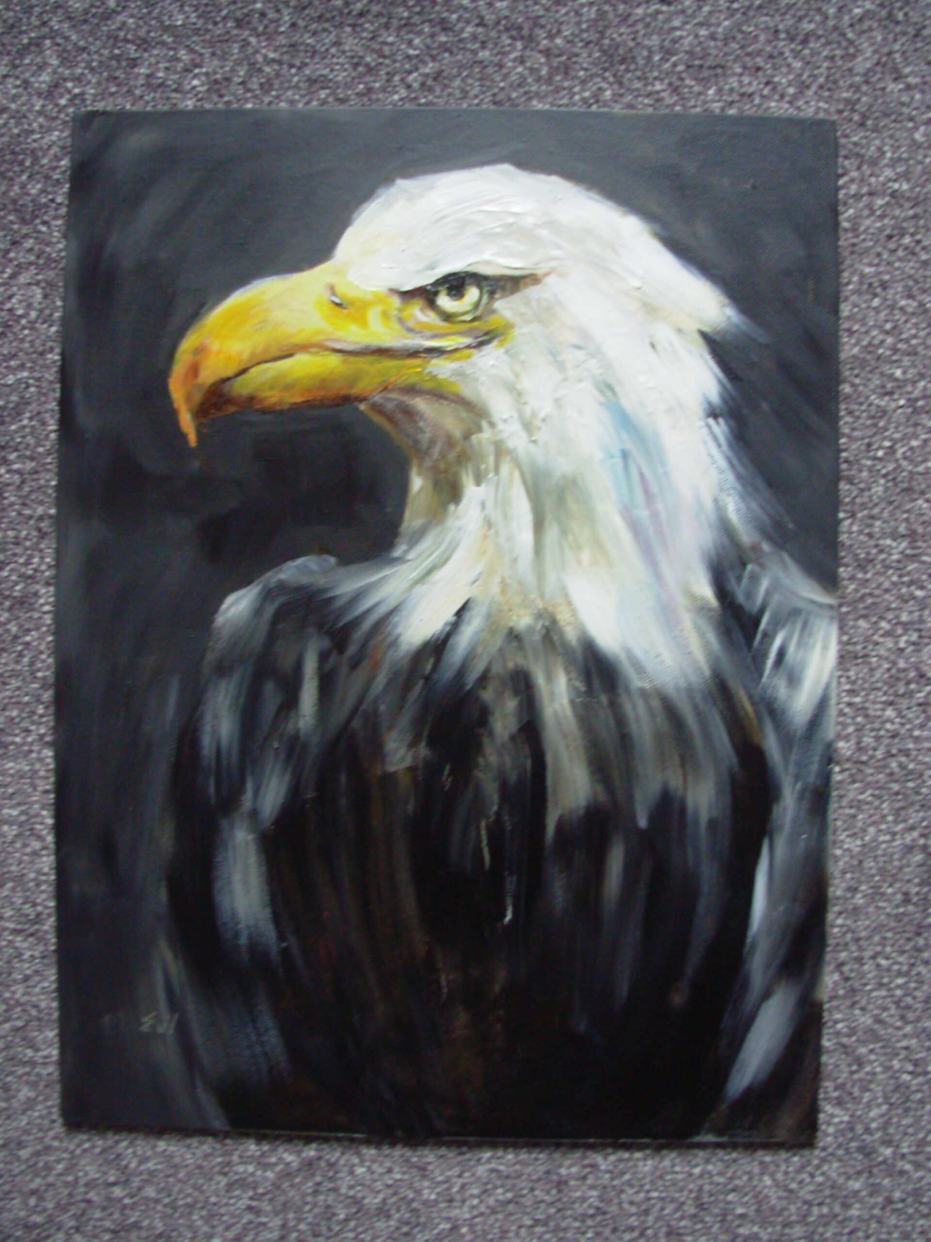 Bald Eagle - Image 5