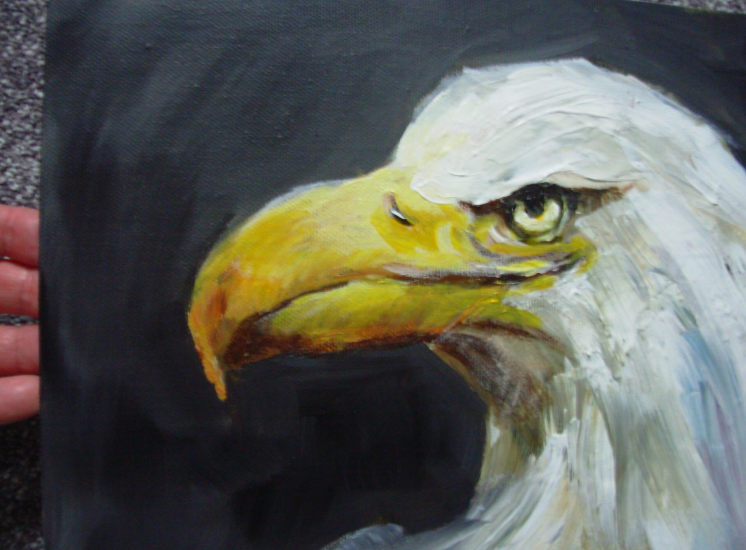 Bald Eagle - Image 4