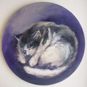 Black and white cat