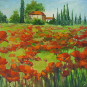 Poppies field