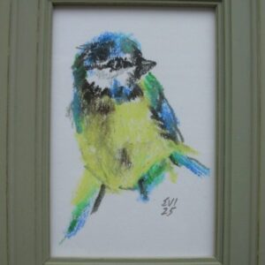 Titmouse