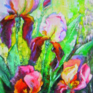 Irises