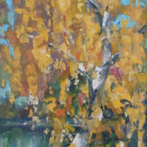 Birch Tree