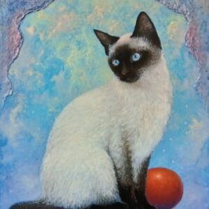 Siamese cat