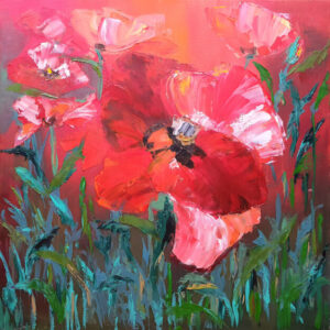 Red Poppy Flowers