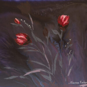 Pink Tulip Flowers